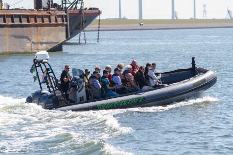 Waddenrib 1